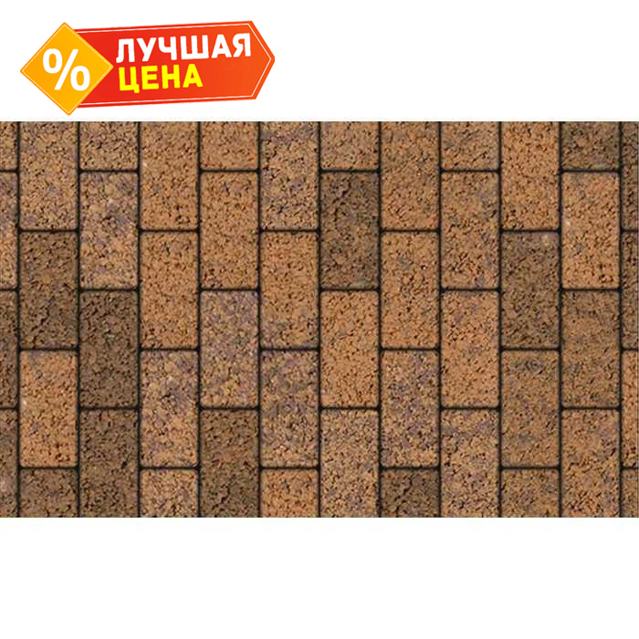 Плитка тротуарная Прямоугольник (Ла-Линия) Б.2.П.6 Листопад гранит Арабская ночь 200x100x60 мм